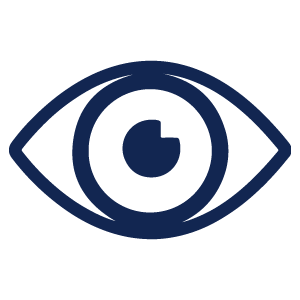 Vision